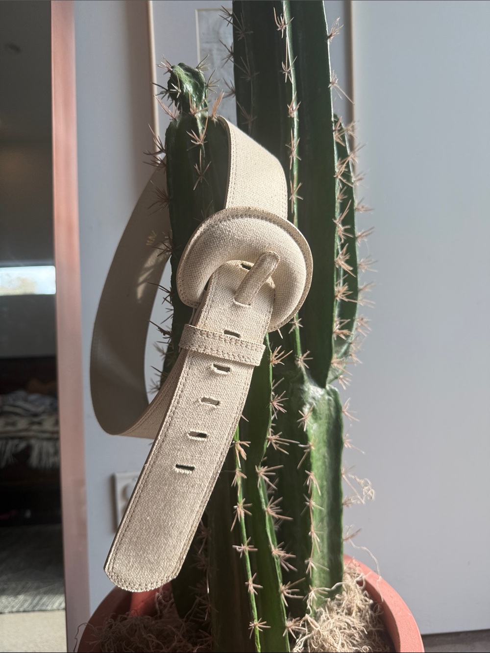 Zara Cream Wide Belt with Subtle Stitching